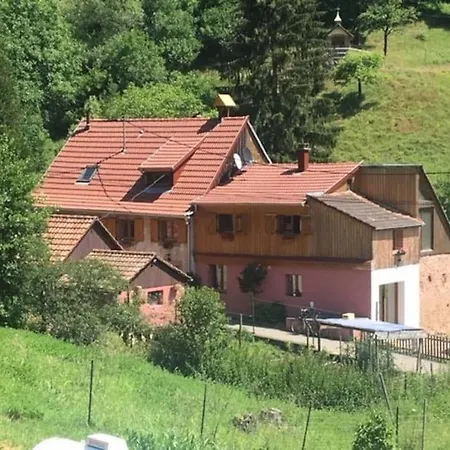 Gite De La Grande Verrerie 6 Personnes Ribeauville Exterior foto