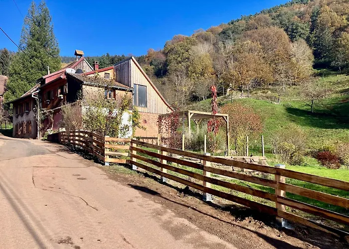 Gite De La Grande Verrerie 6 Personnes Ribeauville