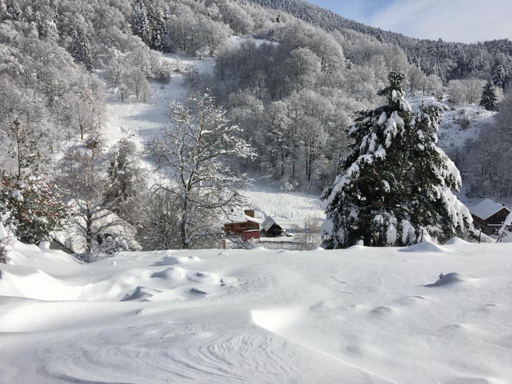 De La Grande Verrerie 6 Personnes Ribeauvillé